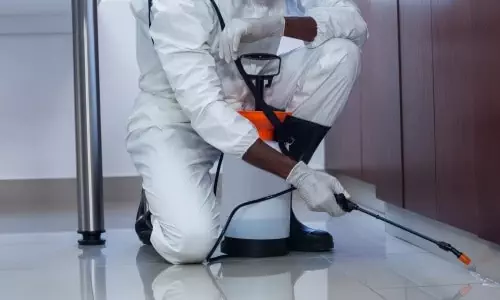 Pest control technician spraying residual treatment under cupboards